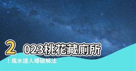 2023桃花位在洗手間|2023大桃花年！命理師傳授「風水術」：偷懶的人。